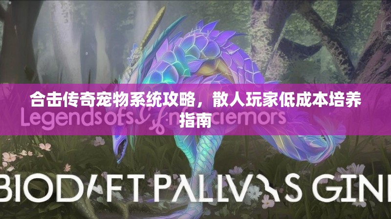 合击传奇宠物系统攻略，散人玩家低成本培养指南