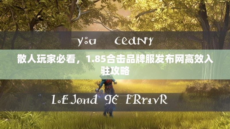 散人玩家必看，1.85合击品牌服发布网高效入驻攻略