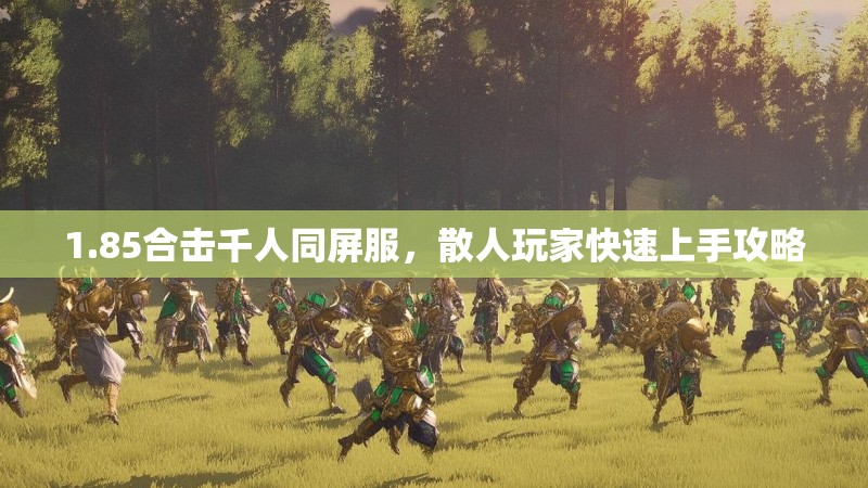 1.85合击千人同屏服，散人玩家快速上手攻略