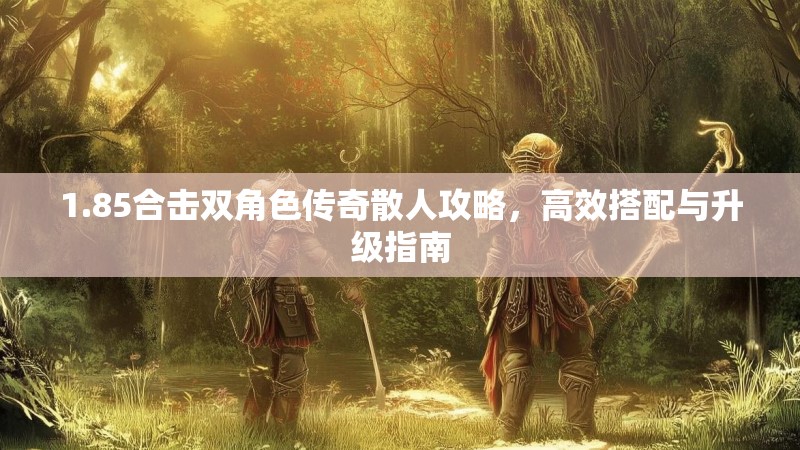 1.85合击双角色传奇散人攻略，高效搭配与升级指南