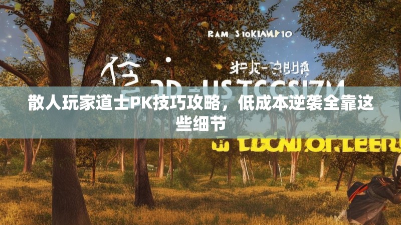 散人玩家道士PK技巧攻略，低成本逆袭全靠这些细节