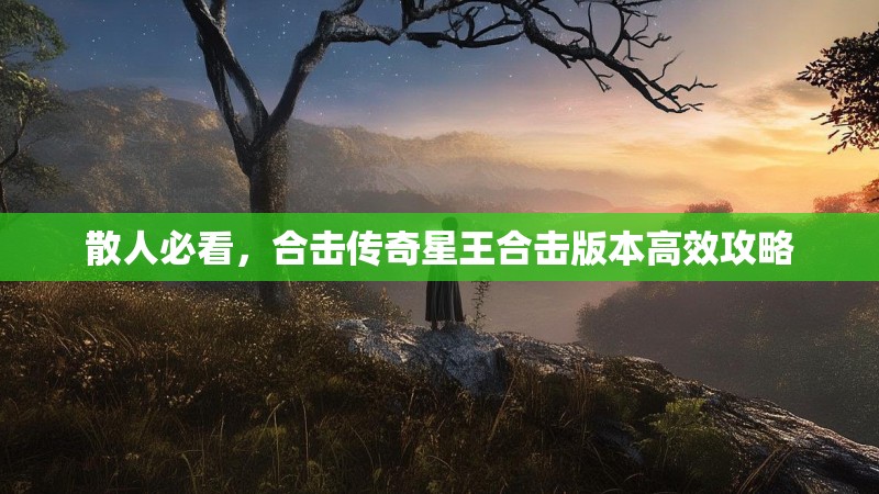 散人必看，合击传奇星王合击版本高效攻略