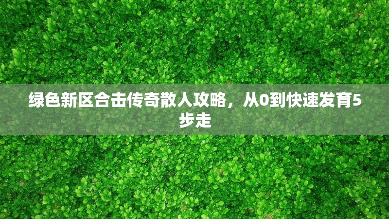绿色新区合击传奇散人攻略，从0到快速发育5步走