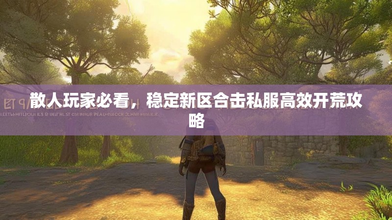 散人玩家必看，稳定新区合击私服高效开荒攻略