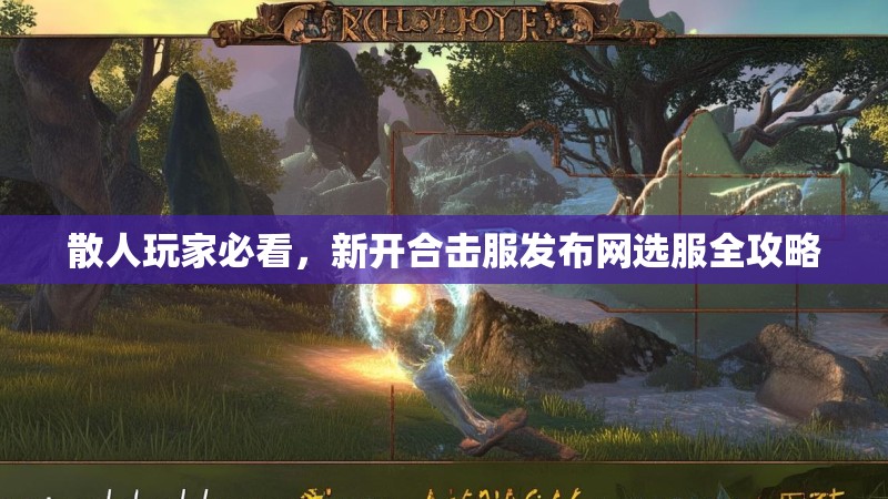 散人玩家必看，新开合击服发布网选服全攻略