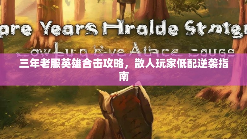 三年老服英雄合击攻略，散人玩家低配逆袭指南