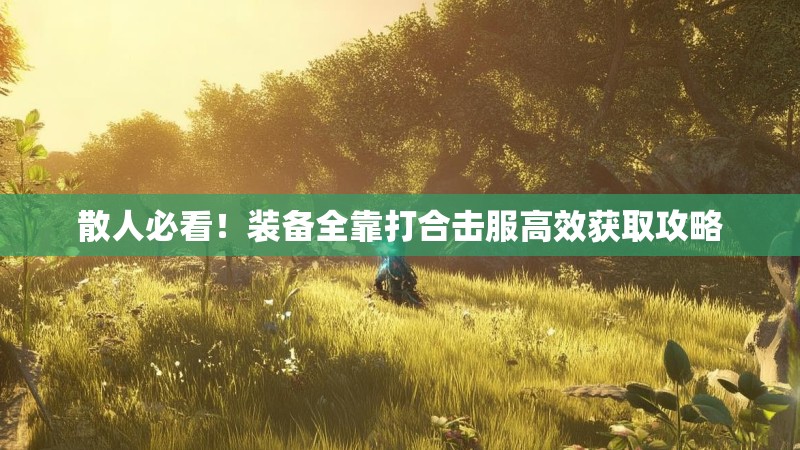 散人必看！装备全靠打合击服高效获取攻略