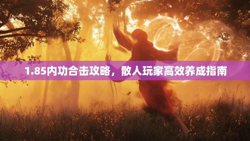 1.85内功合击攻略，散人玩家高效养成指南