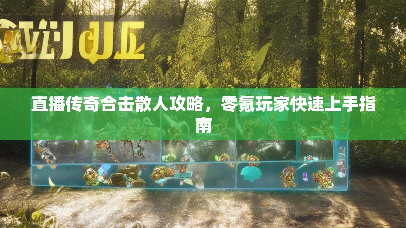 直播传奇合击散人攻略，零氪玩家快速上手指南