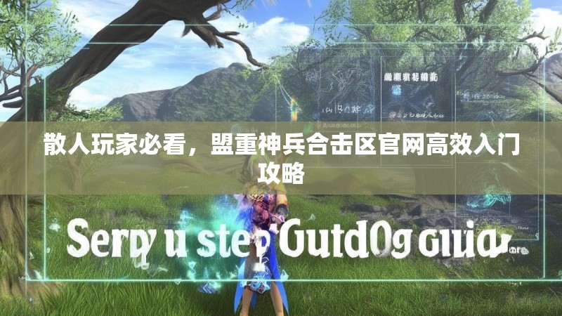 散人玩家必看，盟重神兵合击区官网高效入门攻略