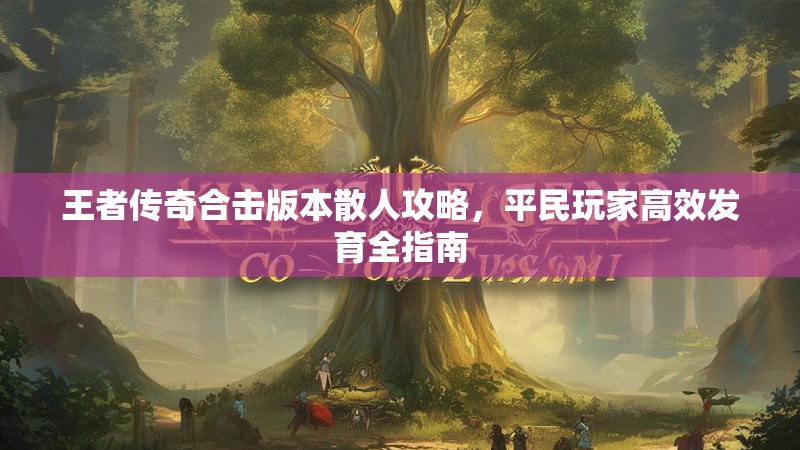 王者传奇合击版本散人攻略，平民玩家高效发育全指南