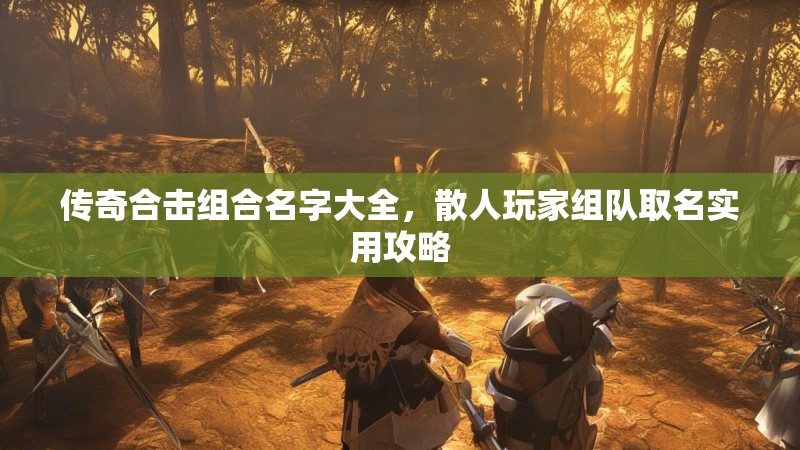 传奇合击组合名字大全，散人玩家组队取名实用攻略
