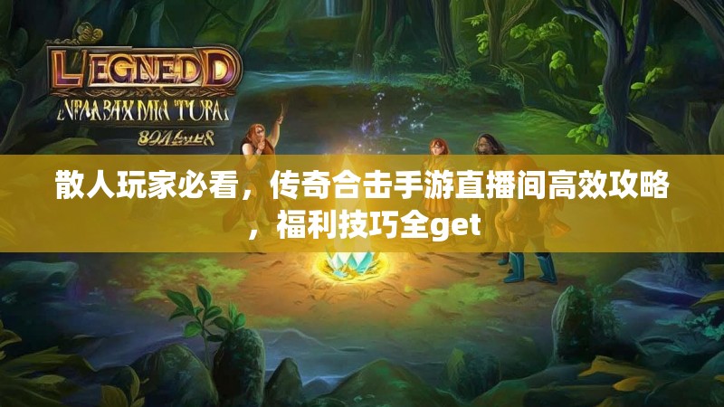 散人玩家必看，传奇合击手游直播间高效攻略，福利技巧全get