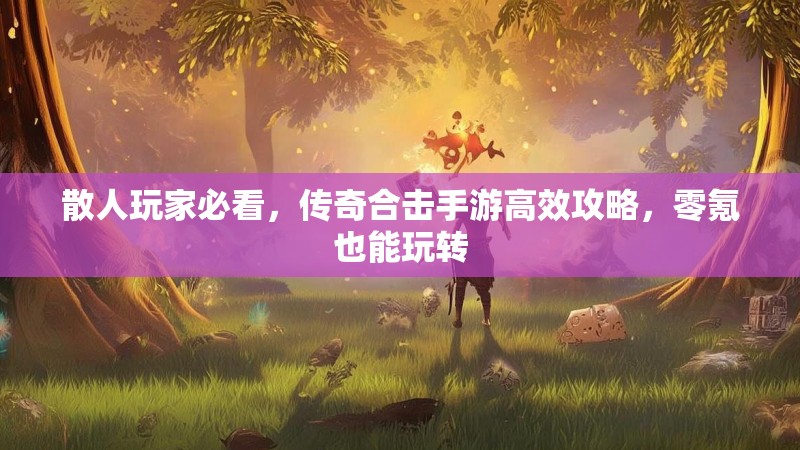 散人玩家必看，传奇合击手游高效攻略，零氪也能玩转