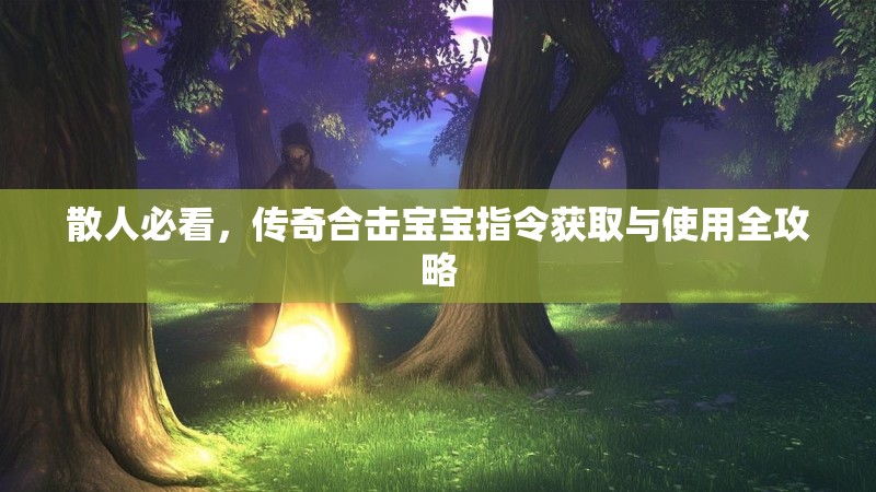 散人必看，传奇合击宝宝指令获取与使用全攻略