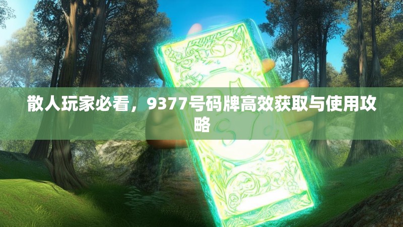 散人玩家必看，9377号码牌高效获取与使用攻略