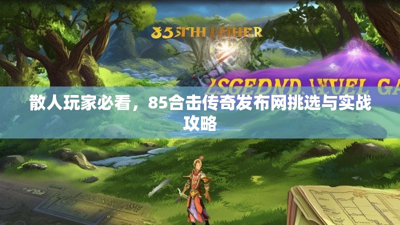 散人玩家必看，85合击传奇发布网挑选与实战攻略