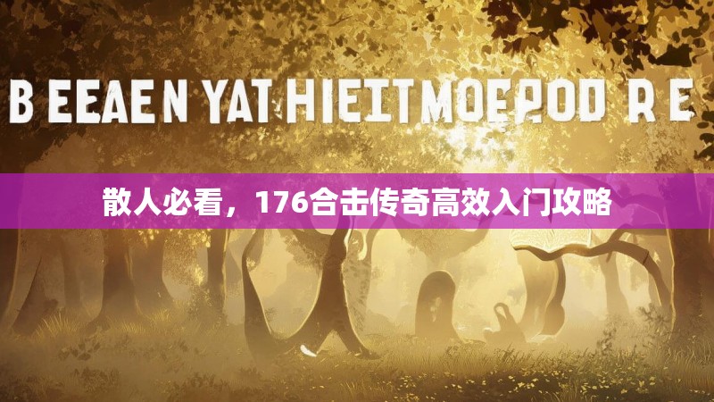 散人必看，176合击传奇高效入门攻略